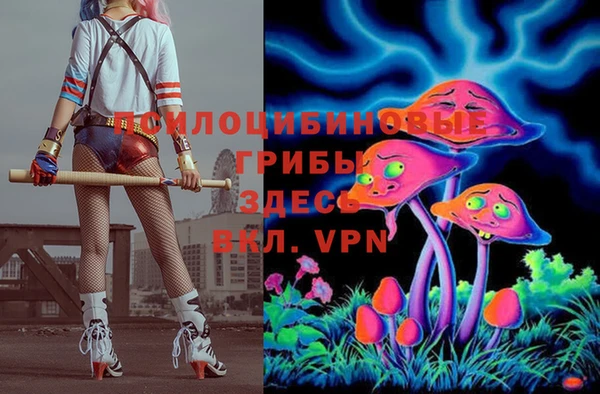 дмт Алексин
